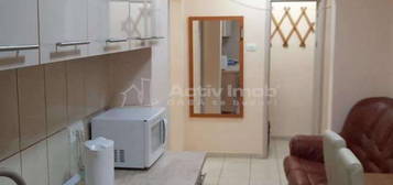 APARTAMENT 2 CAMERE DOBROGEA SAT VACANTA