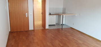 1-Raum-Wohnung mit Miniküche mitten in Mügeln