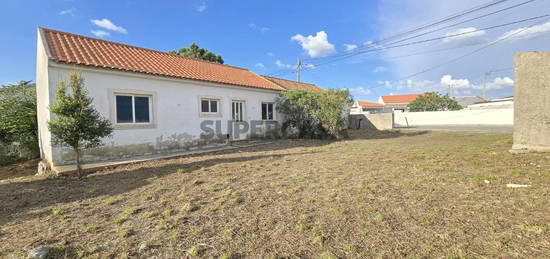 Casa de habitação, arrecadação e adega com logradouro