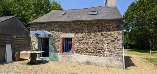 Charmante maison en pierre 55m2