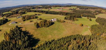 Bio-Hof mit perfekter Infrastruktur im Bezirk Freistadt - Naturparadies für Tie…