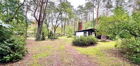 Wochenendbungalow in Alleinlage auf 6740 m² Waldgrundstück