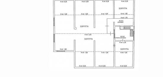 Bifamiliare con garage e ampio locale deposito