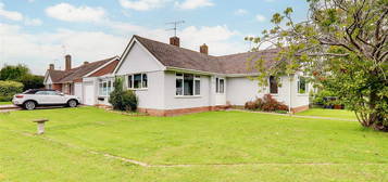 Detached bungalow to rent in Grange Close, Ferring BN12