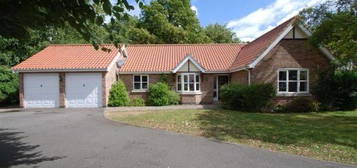 3 bed detached bungalow to rent