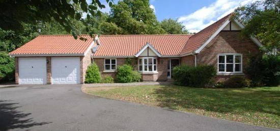 3 bed detached bungalow to rent