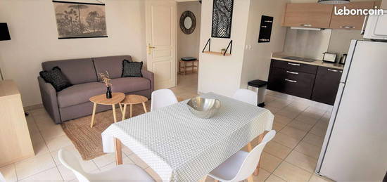 Appartement 2 pièces, 44m², centre Ville, vaste balcon, au calme