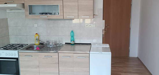 Pronájem bytu 1+1 35 m² (Jednopodlažní)