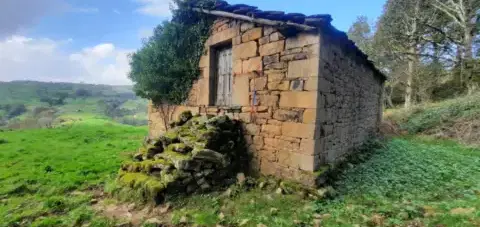 Finca r&#xFA;stica en San Pedro del Romeral