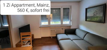 1 Zi Appartment - Nähe Goldgrube Mainz