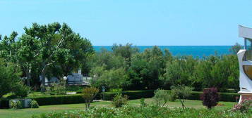 STUDIO 1ER LIGNE VUE MER - A 100m DE LA PLAGE