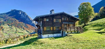 Chalet familial, 5 chambres, vue panoramique