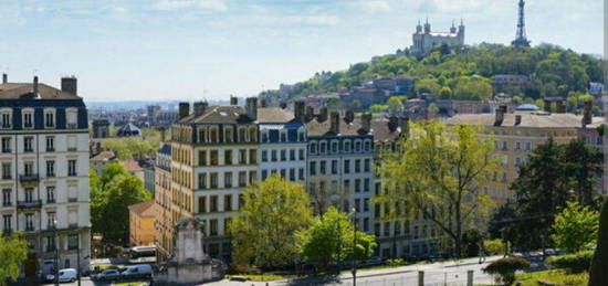 Sous Location jardin des plantes/hôtel de ville Lyon