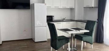 Apartament tip studio, de inchiriat, Iosia Residence - Onestilor