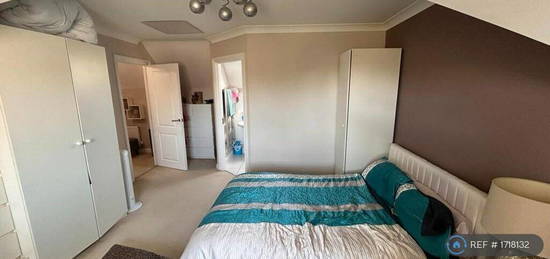 1 bedroom house share