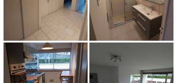 Loue appartement