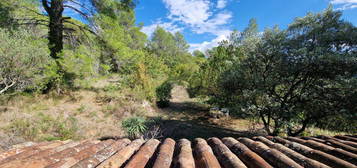 Vaste Propriété en Provence