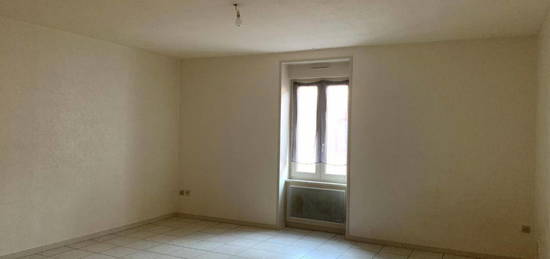 APPARTEMENT T1 BIS A LOUER A ROANNE SECTEUR MULSANT