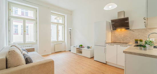 Pronájem bytu 1+kk v osobním vlastnictví 27 m², Praha 2 - Vinohrady