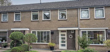 Nicolaas Beetsstraat 35