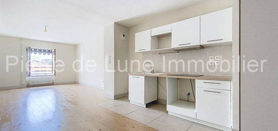 Superbe appartement en plein centre de Lyon