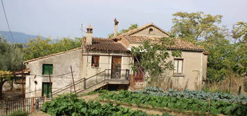 Casale Località Boccalupo, Rose