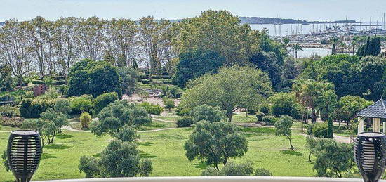 Antibes Les Pins-3 pièces-Vue Mer/Montagne-Parking-Cave