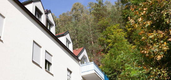 2 Zimmerwohnung mit Blick in die Natur, zentrumsnah