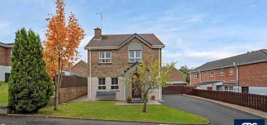 7 Slieveard Rise, Omagh, BT79 7WE