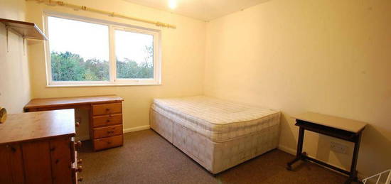 1 bedroom house share