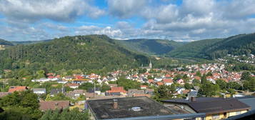 3 Zimmerwohnung in Neckargerach