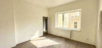 Pronájem bytu 3+1 55 m²