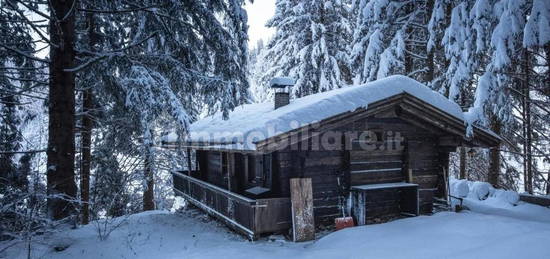 Chalet via Spiga 3, Centro, Cortina d'Ampezzo