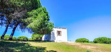 Finca rústica en venta en  Zona La Fotea