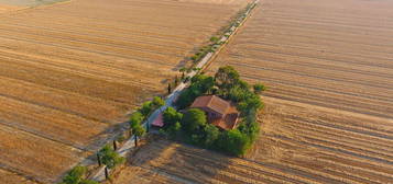 Villa in vendita in strada Provinciale Principina a Terra