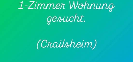 1 Zimmer Wohnung