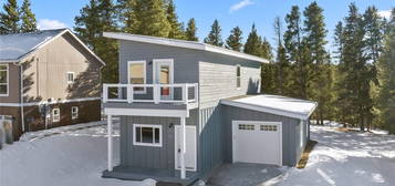 162 Brooklyn Cir, Leadville, CO 80461