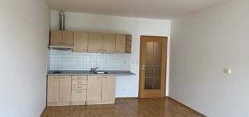 Exkl.pronájem  bytu-ateliéru  1+kk s komorou/šatnou, 46 m², OV, Praha 6-Břevnov