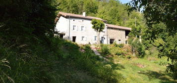 Maison et 2.6 hectares + sources