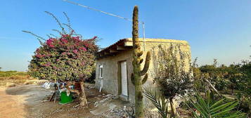 Casa rural en Las Bayas, Elche