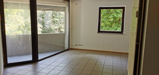 1 Zimmer-App. 30 qm, Bad, Loggia Homburg Schwarzenbach