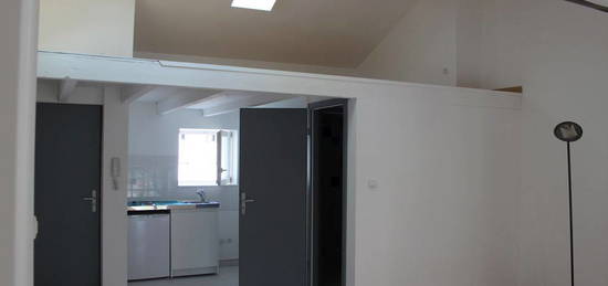 Loue F1+Mezzanine 39m2 98 rue Stanislas -NANCY