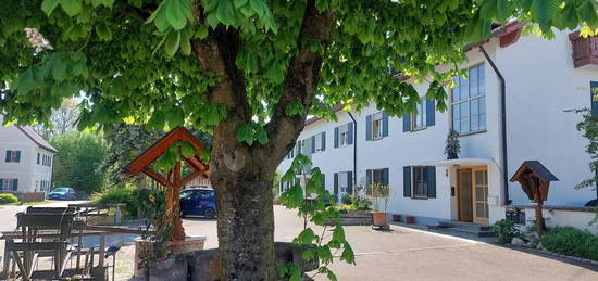 3.5 Zimmer Wohnung komplett Saniert  in Scheuring