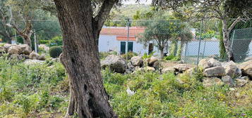 Arrendamento de Estúdio T0  em Santa Bárbara de Nexe