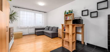 Byt 1+kk, 37 m², Vitošská, Praha