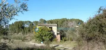 Finca r&#xFA;stica en A Las Afueras