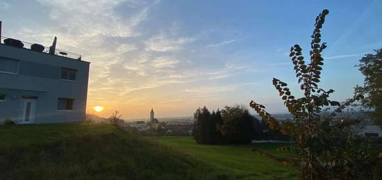 Gartenwohnung mit Reihenhaus-Charakter in ruhiger Aussichtslage im Ort Ansfelden