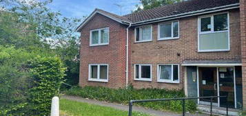 1 bed flat to rent