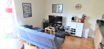 1 bed flat to rent