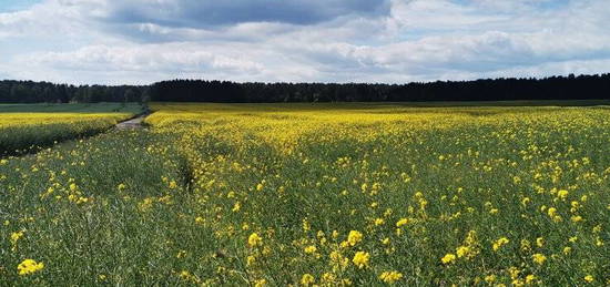 TOP - Erdgeschoß Wohnung mit Garten im Zentrum